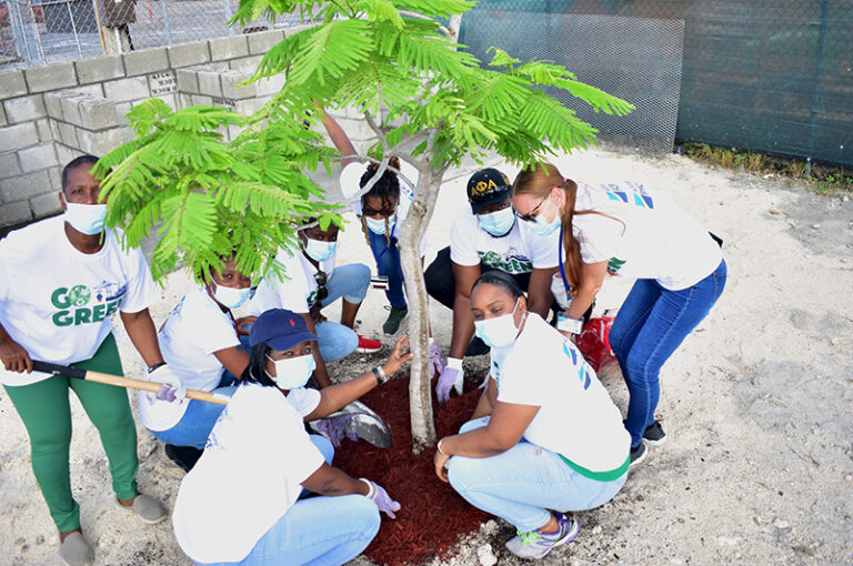 Employees Planting Trees at FCP on site designated as “Green Site” (July 2020)