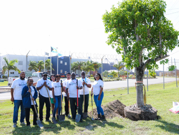 GO GREEN TREE PLANTING sm-2