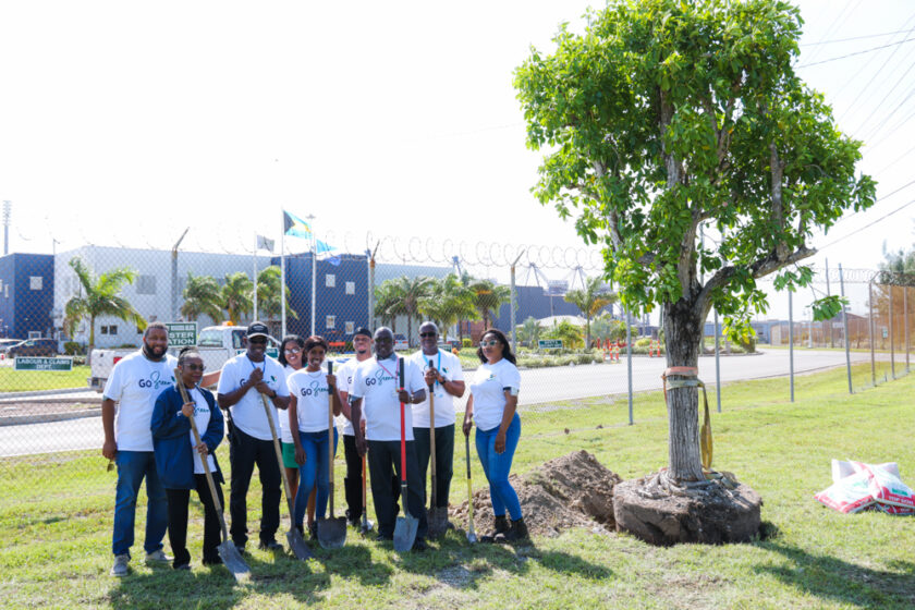 GO GREEN TREE PLANTING sm-2