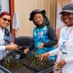 FCP & FHC ADVANCE SUSTAINABILITY THROUGH MANGROVE RESTORATION