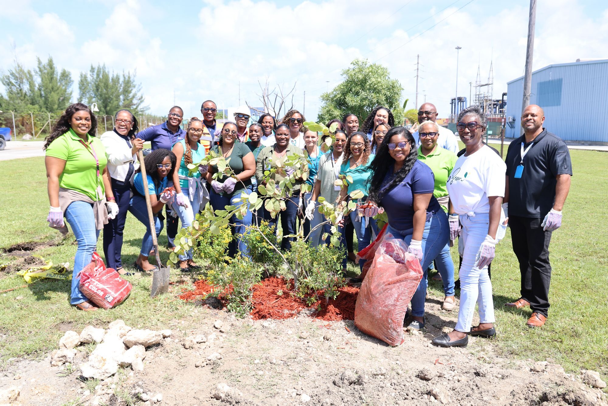 2025 0926 TREEPLANTING 1