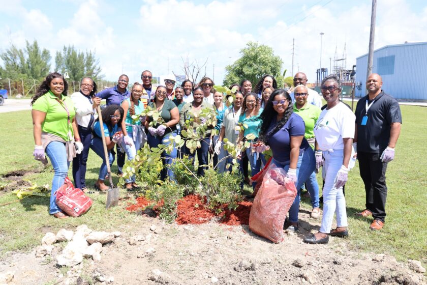 2025 0926 TREEPLANTING 1